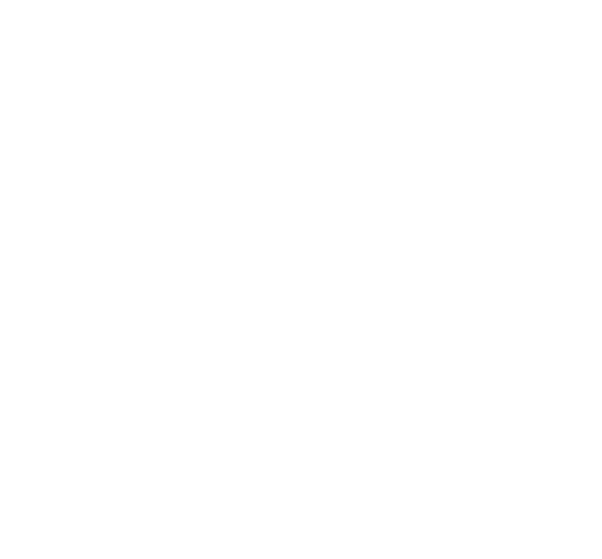 LK Media